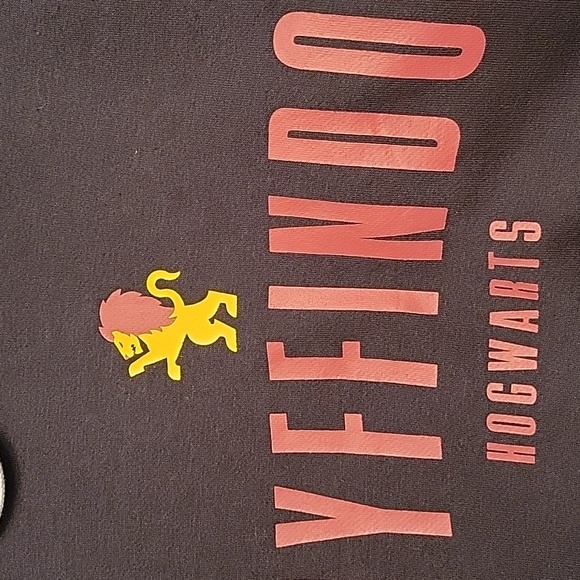 EUC Harry Potter Wizarding World Hoodie - Picture 5 of 9